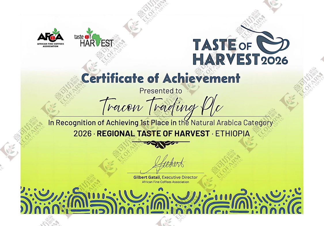 Ethiopia ToH #1 2026 Bochesa Natural 74158