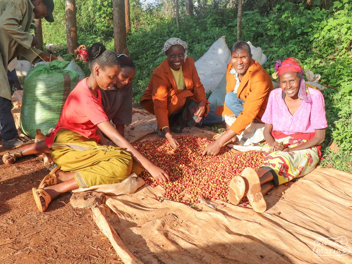 Kenya Gathaithi Natural SL28